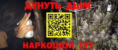 твердый Камышлов