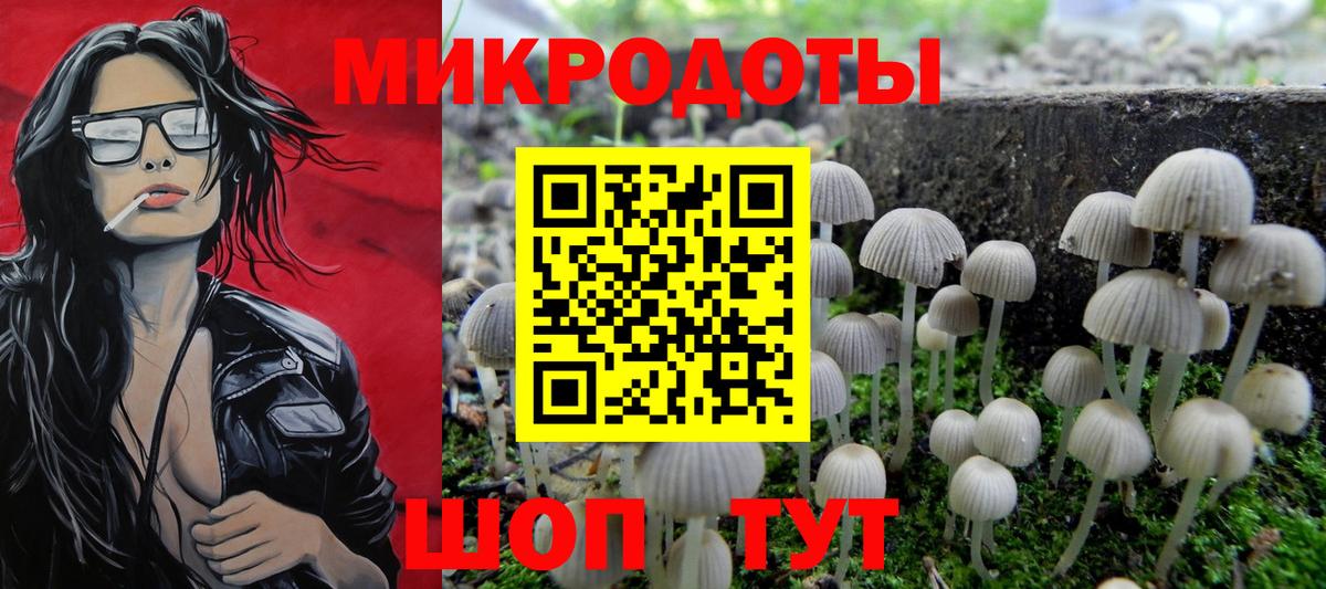 Псилоцибиновые грибы мицелий Краснодар
